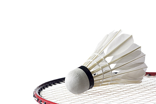 首次亮相顶 首次亮相顶